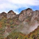구봉산 Daum카페