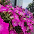 불광1-021 이미지