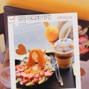 함께랑 | 강릉 루프탑 카페 도깨비젤라또 방문후기｜아이와 함께 애견동반카페 추천