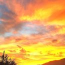 루아네 하우스 이미지