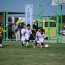 알프스어린이집 이미지