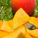 금봉농장 이미지