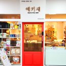 애키새 | [ 드림일보 인터뷰 ] 2022.03월호 : 반려동물용품샵 - 애키새