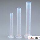랩토피아