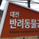 모찌댕