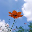 리샘한의원부천점 이미지