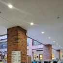 롯데프리미엄아울렛 파주점(4) | 파주 가볼만한 곳 롯데프리미엄아울렛 파주점 주차...PRADA) 매장 가방 사피아노 호보백(1BC204) 구입 후기