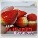 운림골농원(달달한레시피) | 농라카페 킹스베리 설향 딸기 농라에프 주문해서 딸기케이크 만들기