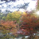 수가솔방