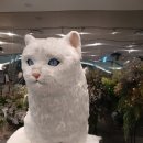 도도바이오 이미지