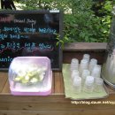 산책갈까 이미지