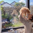 유수암숲 이미지