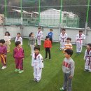 용당타이거즈태권도 네이버블로그