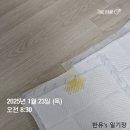 안녕 똑독아 트레이닝센터 안서점 | 안녕 똑독아 김현수 훈련사님 방문훈련 후기!