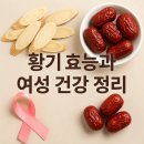 (주)현대종합건재 | 황기 효능 부작용 여성에게 좋은 점 꼭 알아야 할 핵심 정리 7가지