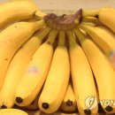 바나나 이미지