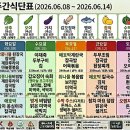 비엠(BM) 티스토리