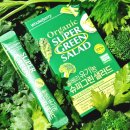 그린슈퍼 | 마시는 샐러드 유기농 홀베리 슈퍼그린 샐러드 내돈내산 후기