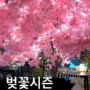 비스트로101 네이버블로그
