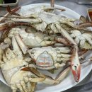 배불뚝이 | 아기랑 소래포구 어시장 꽃게 대하 전어 제철 맛집 배불뚝이 방문후기