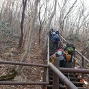 제350차 정기산행 진도 첨찰산485m 이미지