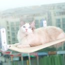 다올에이치 이미지
