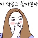 카페유로패스