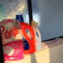 [아기랑 제주여행] 밭이 보이는 제주 동쪽 독채 &#39;동녘에 머문 청춘&#39; 아기랑 숙박한 장단점 후기