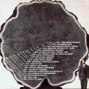 나무메드 이미지