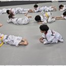 거룡태권도2관 이미지