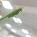 고원관광휴게소 이미지