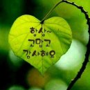 용해지구로 이미지