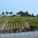 돌산공원 이미지