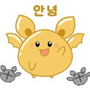 에스오이디자인