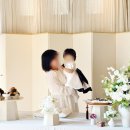 나무906 | 팔공산 나무906 돌잔치+호호돌 무지윤설