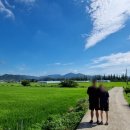 또하르네 이미지