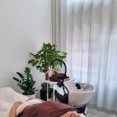 [고운손길] 시흥 능곡역ㅣ피로가 싹 풀리는 시흥헤드스파 힐링 타임! 시흥고운손길 두피 관리 후기