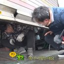 강래구자동차공업사 이미지