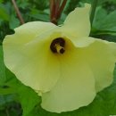 솔터농장 이미지