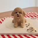 투마이퍼피 | 투마이퍼피(성남 강아지케이크/신흥역 강아지간식/반려견 생일 케익)