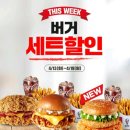 그레이비시3