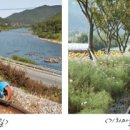 곡성-051 이미지