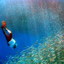 나래여행사 이미지