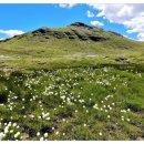 이렇게좋은날 이미지