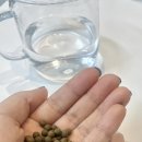 동이한의원 이미지