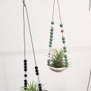 이오비즈 이미지