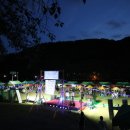 웰니스팜 이미지