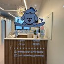 그루밍애견미용 이미지