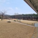 기흥호수공원(뚝방) 이미지