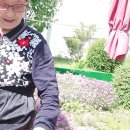 자애요양병원